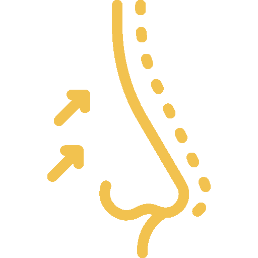 Icono de Rinoplastía Abierta